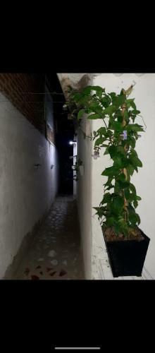 Apartamento Pescaito Beach
