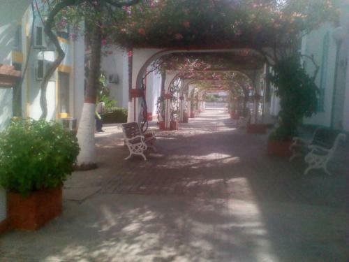 Apartamento Alquilo Apto X D�as Amoblado En El Rodadero