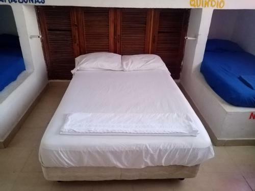 Bed & Breakfast Bigfish Taganga