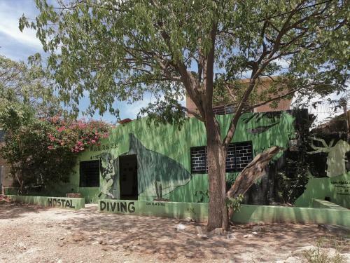 Bed & Breakfast Bigfish Taganga