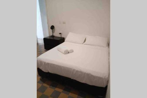 Casa Abund Santa Marta