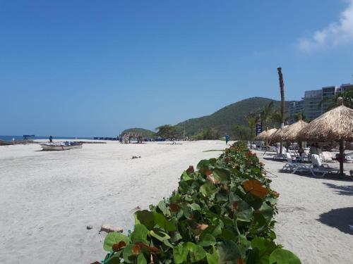 Apartamento Samaria Club 312