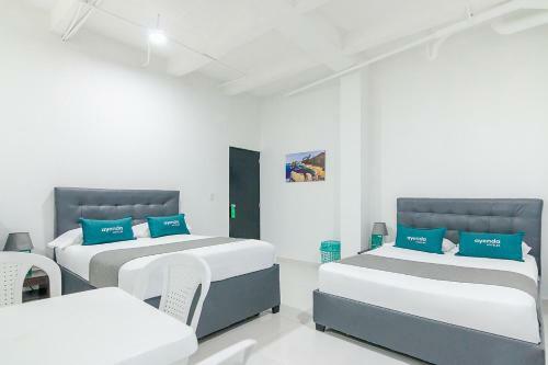 Apartamento Ayenda Hm Caribe