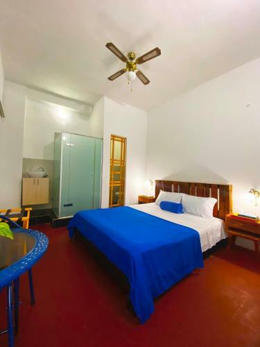 Hostal La Puerta Azul Hostel