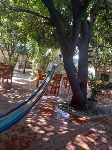 Bed & Breakfast Hostel Casa De Petra