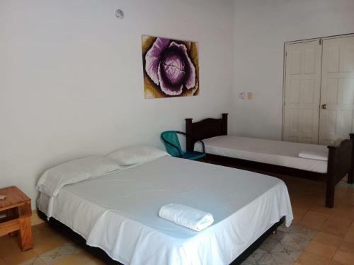 Bed & Breakfast Hostel Casa De Petra