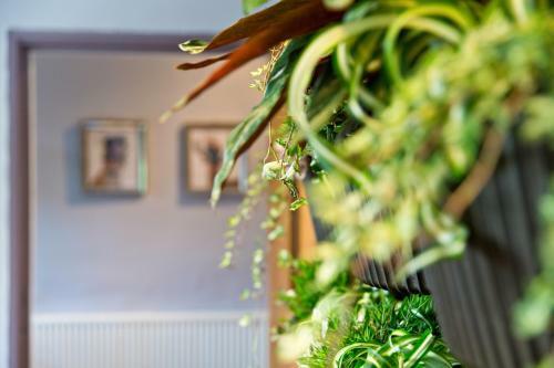 Fenners Hotel - B&B