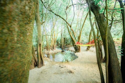 Hotel Kayjay Wild Wilpattu
