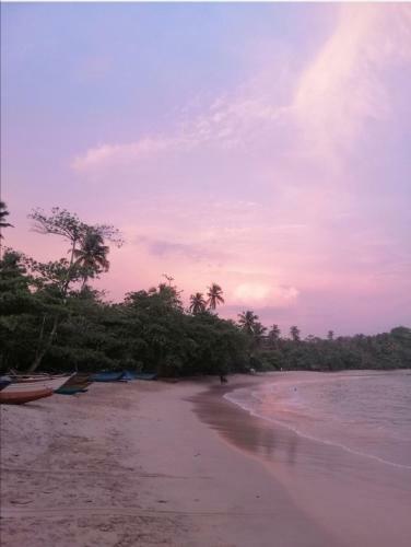 Hotel Mana