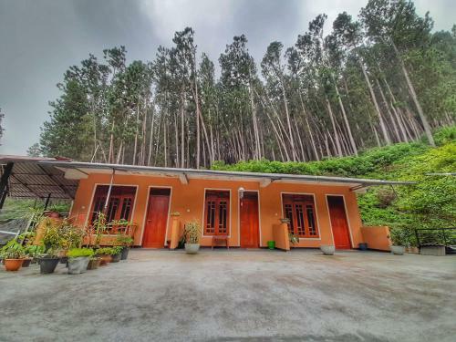 Pine Trees Homestay