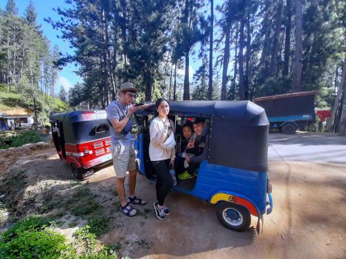 Pine Trees Homestay