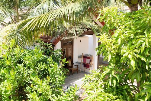 Hostal Hilltop House