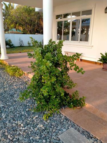 Cesar Villa Sea Side