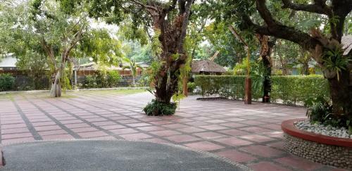 Hotel Buenavista Family Inn