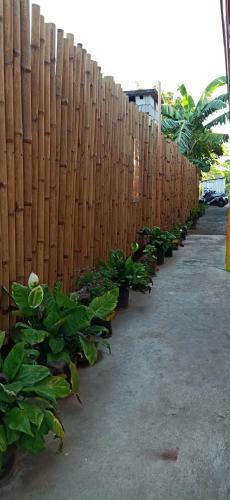 Hostal Stella'z Guesthouse
