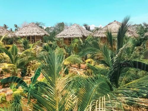 Hotel Mandala Tribe Treehouses