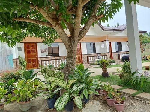 Hostal Rmb Guest House