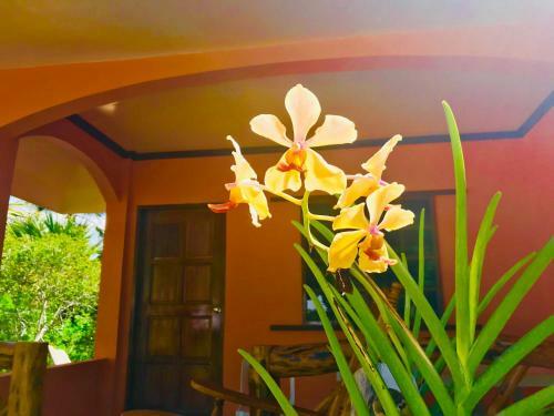 Hostal Chekesh Casa