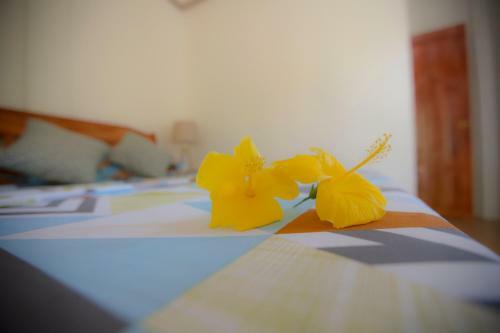 Hostal Chekesh Casa