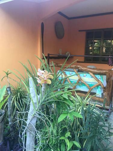 Hostal Chekesh Casa