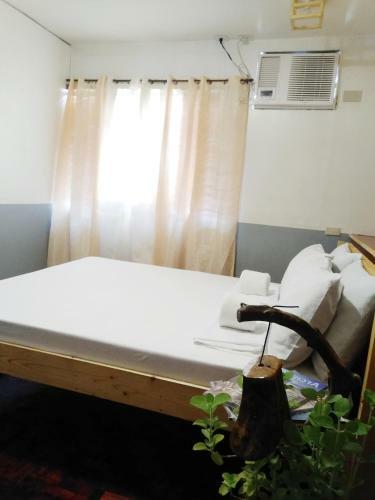 Dreamer Hostel