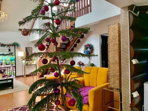 Jkl Luxury Holiday Loghomes