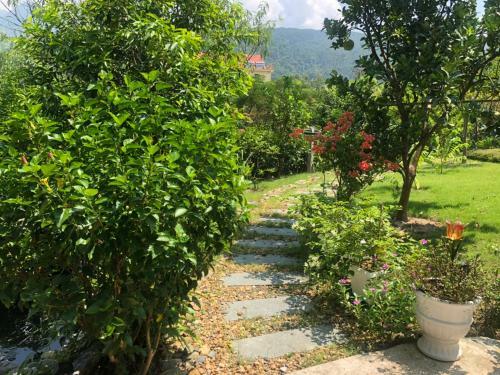 Villa Tam Dao Golf & Resort Luxury