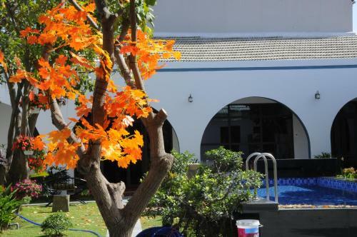 Tropical Homestay Ph� Y�n