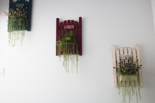 Blossom Homestay
