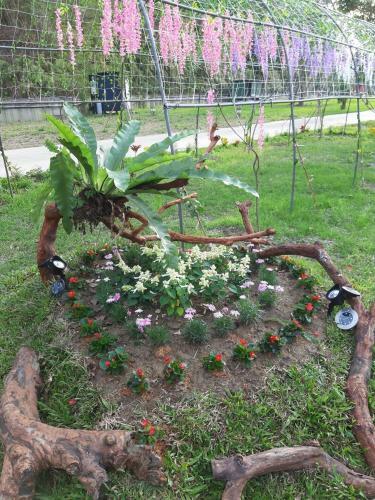 Niang Zi Han Farmstay
