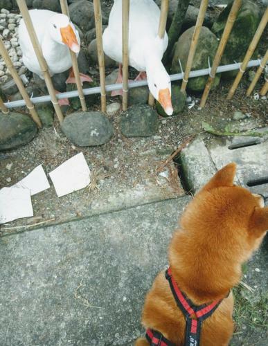 Bed & Breakfast Yujing Mountain Water Residence