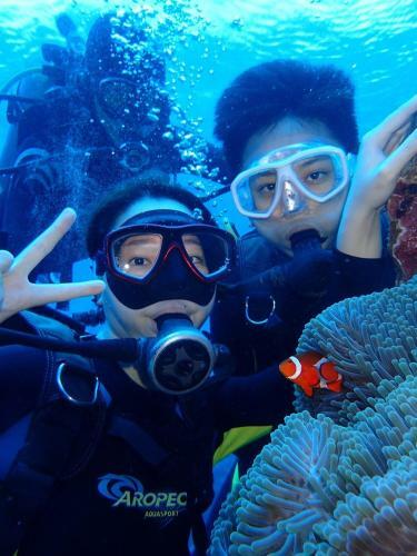 Albergue Green Island 9 Backpacker