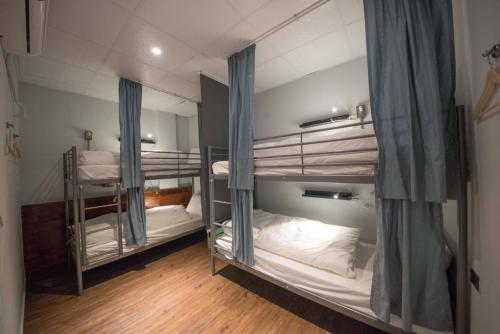 Deer Traveler Hostel