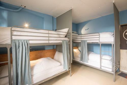 Deer Traveler Hostel