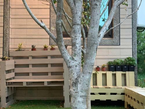 Agroturismo White Cat B&B