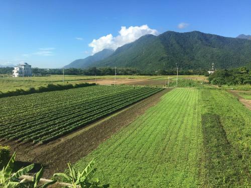 Bed & Breakfast J.w Manbo Taroko