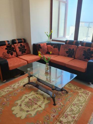 Osc Homestay Apartments