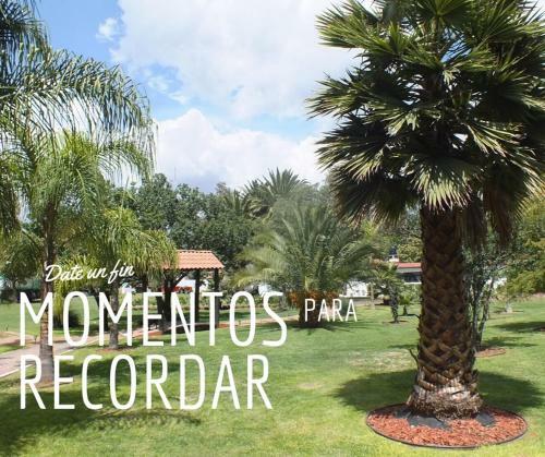Hotel Palmas Teotihuac�n