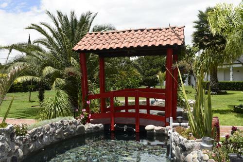 Hotel Palmas Teotihuac�n