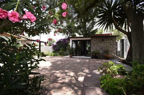 Hotel Palmas Teotihuac�n