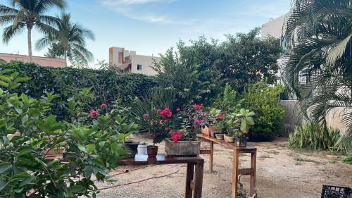 Hotel Coco Mar Suites