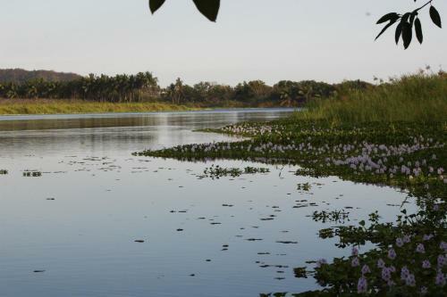 Bungalows Laguna Del Tule