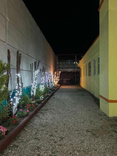 Hostal Ohana Apartments