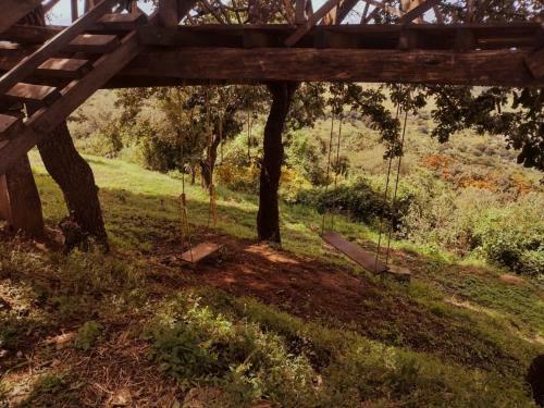 Glamping Ukuleleria