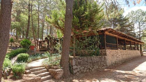 Caba�as Tapalpa Sierra Del Tecuan, Caba�a Coyote