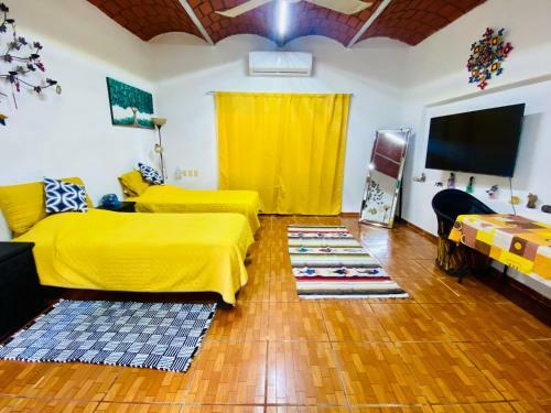 Apartamento Departamento Burros 1