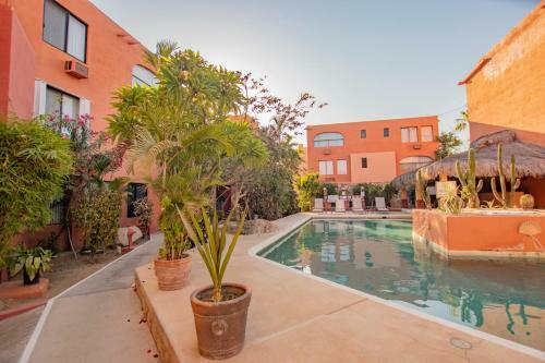 Apartamento Cabo Cottage Authentic Mexican Design Overlooking The Beach