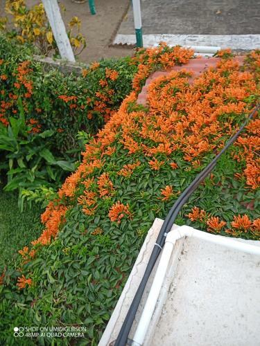 Hostal Villa Kosniin