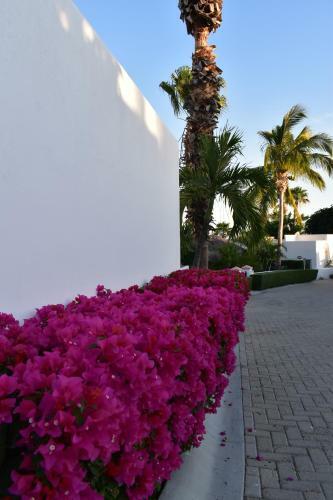 Work Remotely & Relax In Beautiful 3bd Home