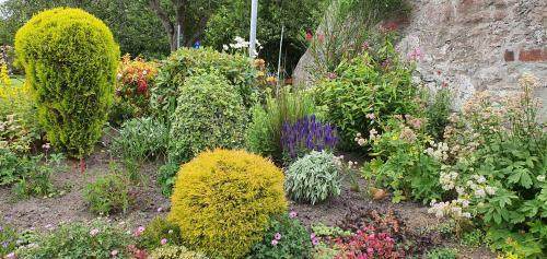 Hostal Moray Park Guest House
